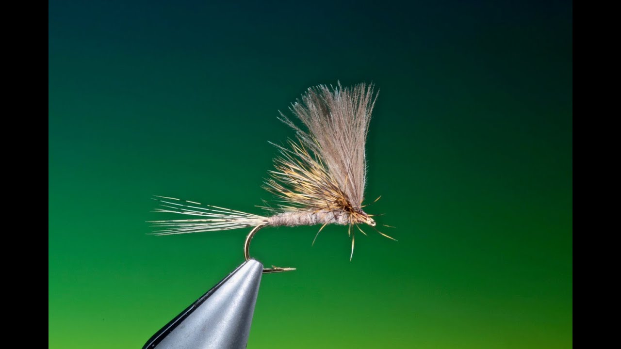 Tying a Paraloop & CDC March brown with Barry Ord Clarke
