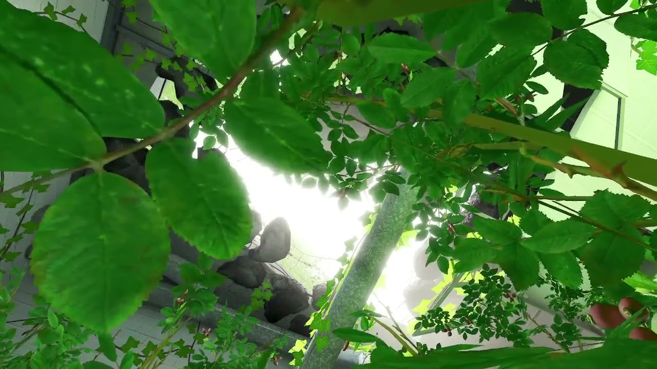 The Stanley Parable: Skip Button Green Room Rainy Ambience