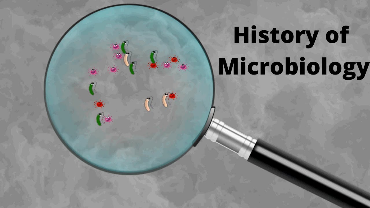 Microbiology || History || Era || Development || Hindi || Notes || Lecture || Bsc