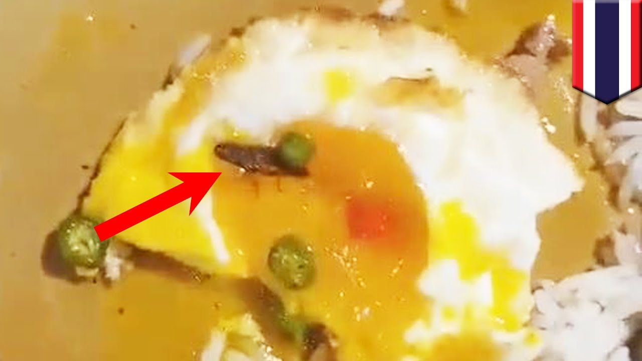 Pria temukan kecoa dalam makanan food court! - TomoNews