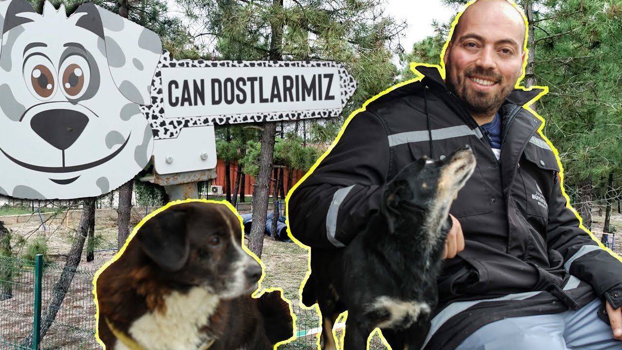 DÜNYA'NIN EN BÜYÜK HAYVAN BARINAĞINDA BİRGÜN !! #HayvanlarıKorumaGünü