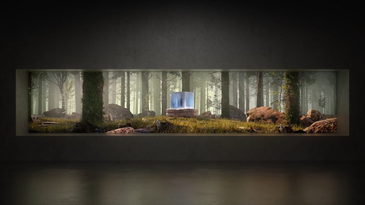 Medit i700w Projection Mapping