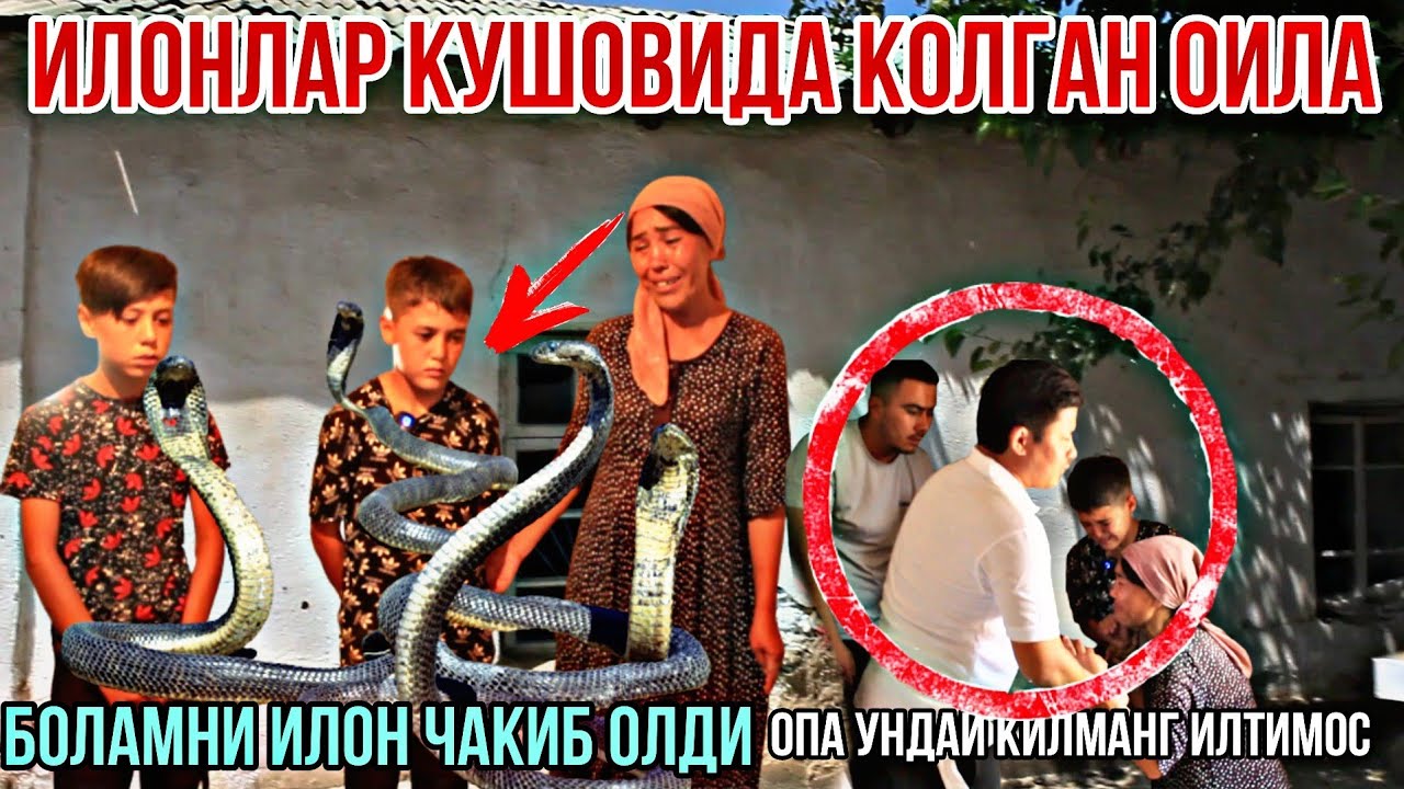 ИЛОНЛАР КУРШОВИДА КОЛГАН ОИЛА 😭😭. ХАММА ТЕЗ КУРСИН.