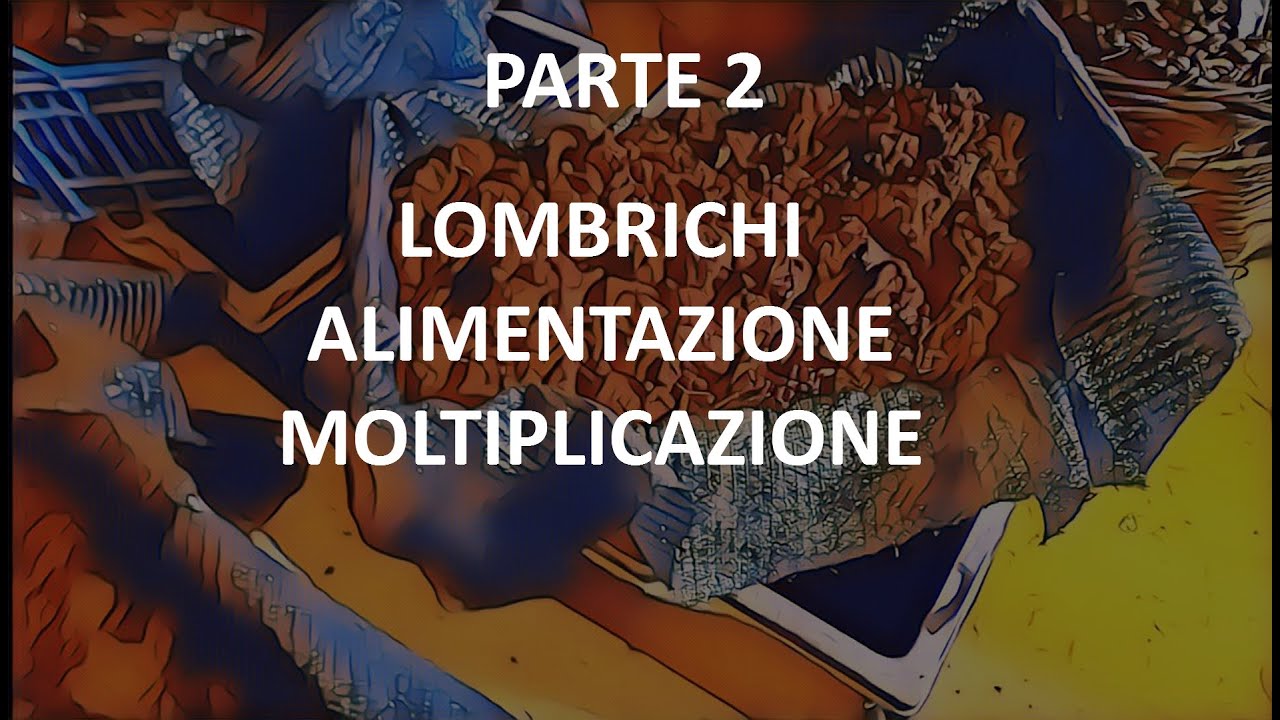 #LOMBRICOLTURA Alimentazione e Moltiplicazione PARTE 2