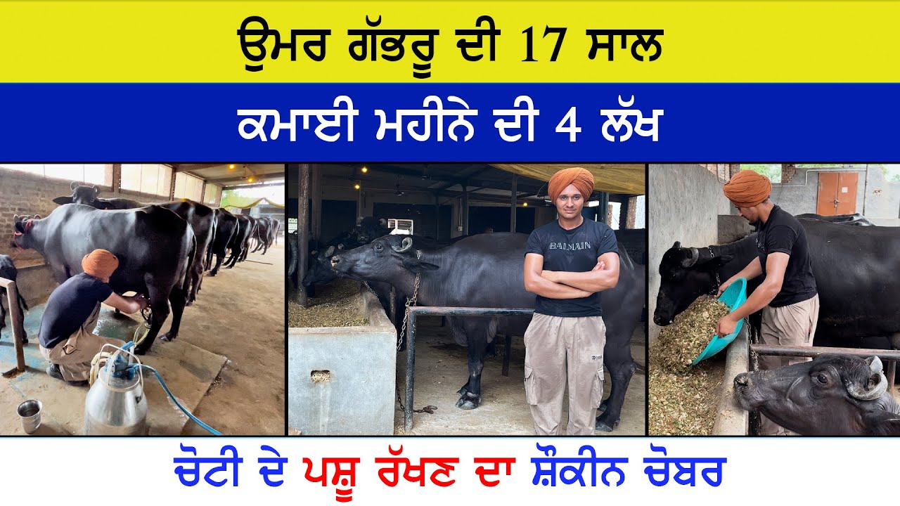 ਦੋ ਸ਼ੌਂਕ ਨੇ ਗੱਭਰੂ ਦੇ, ਇੱਕ ਪੈਸਾ ਕਮਾਉਣਾ ਦੂਜੀ ਸਿਹਤ ਬਣਾਉਣੀ