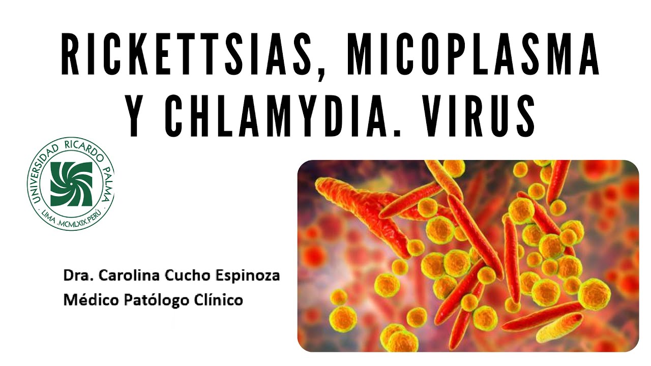 Microbiología - Rickettsias, Micoplasma y Chlamydia. Virus - Unidad3 - sem11 URP