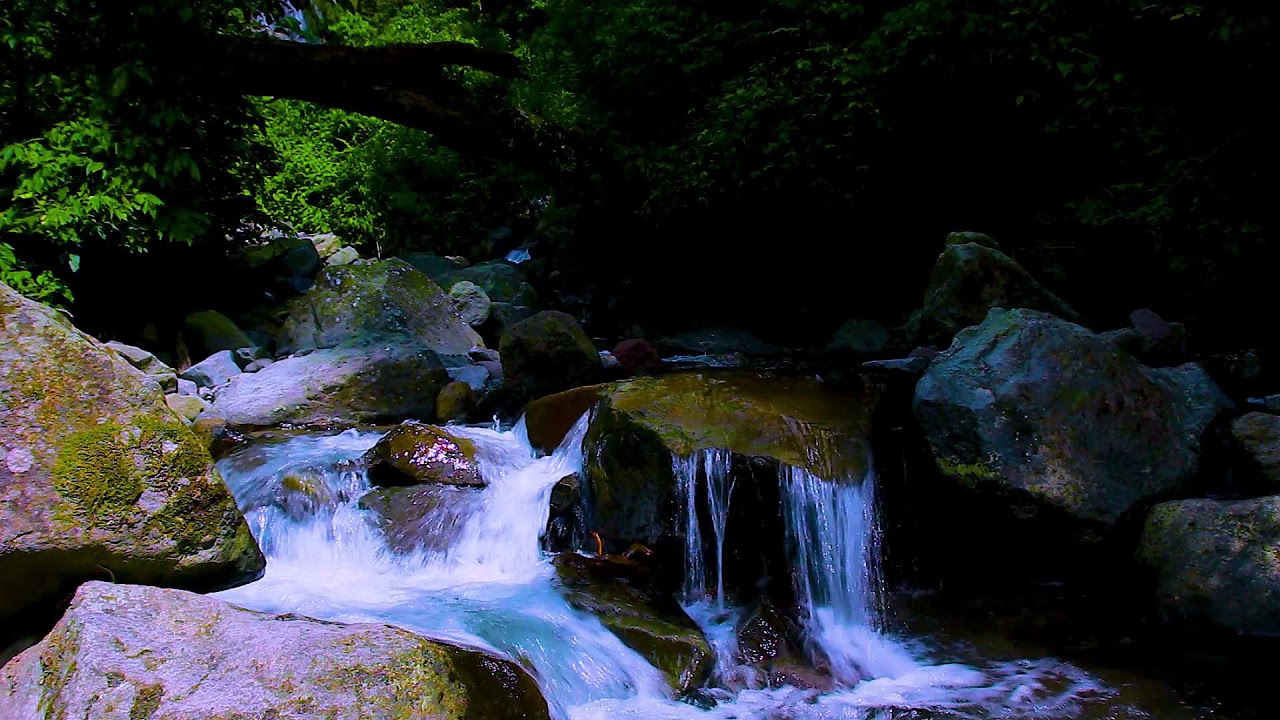 Deep Sleep River in the Mountains | Peaceful Flowing Water Nature Sounds