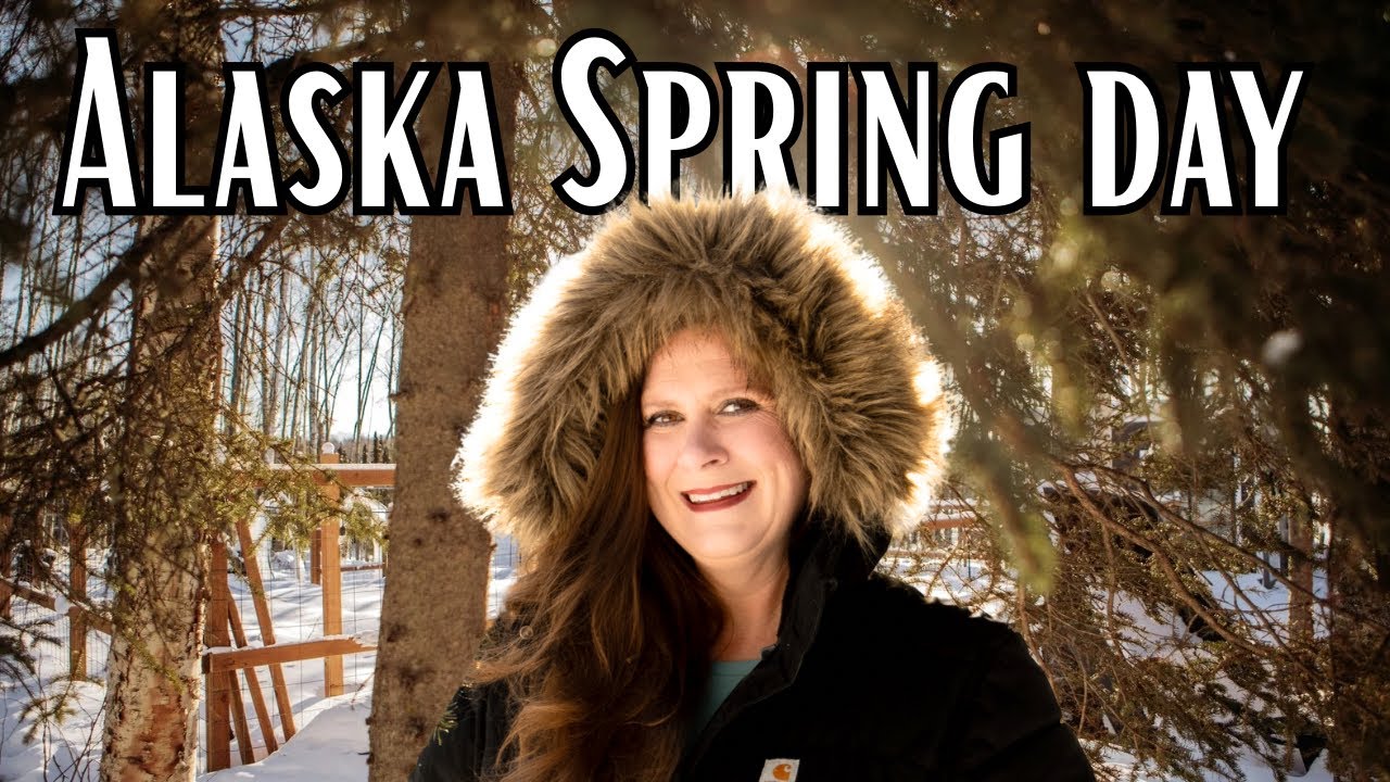 Spring Homestead Life is MESSY... But We Made it Happen Alaska Life