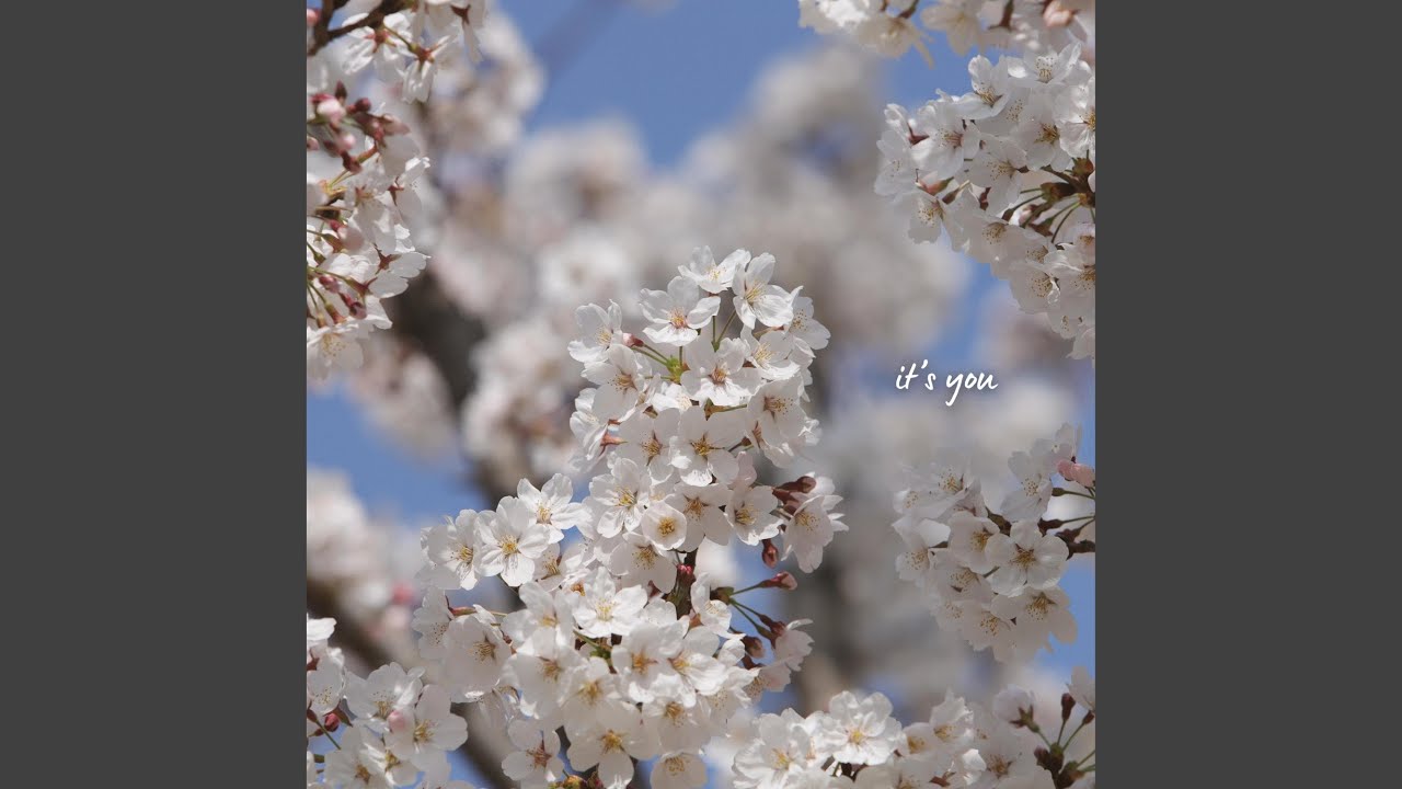 it's you