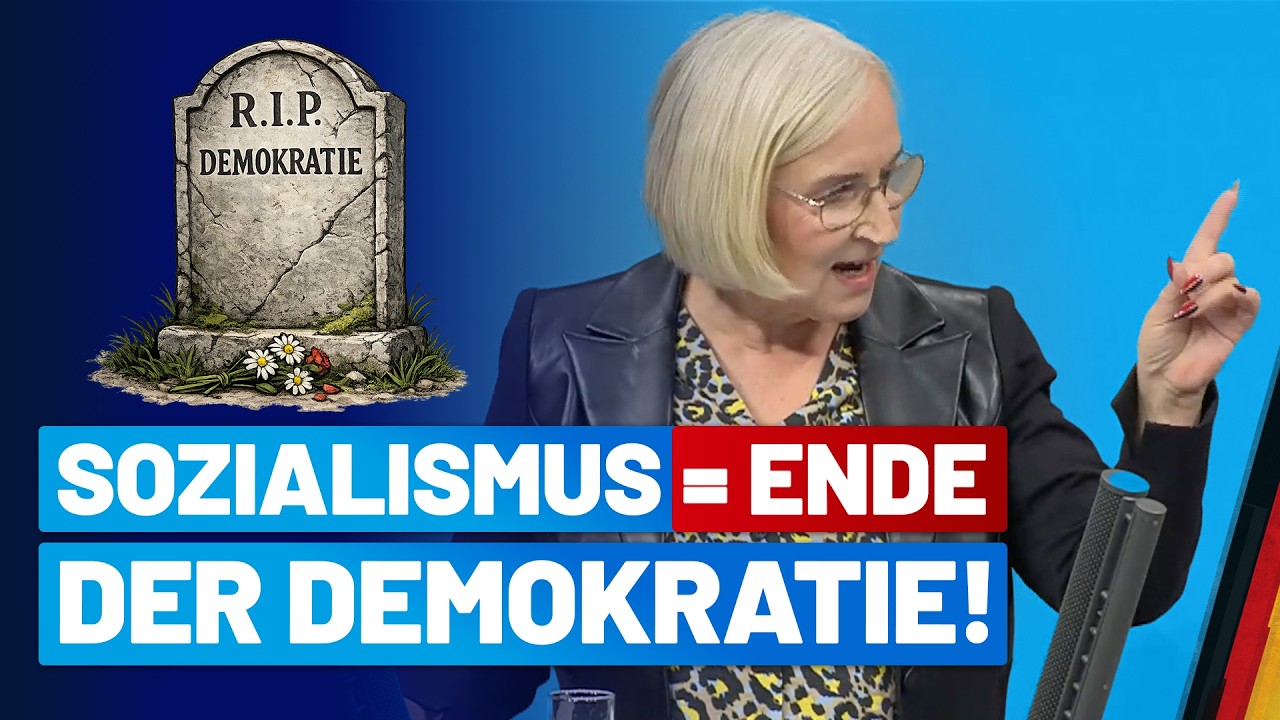 Sie wollen eben diese Demokratie abschaffen! - Kerstin Przygodda - AfD-Fraktion im Bundestag