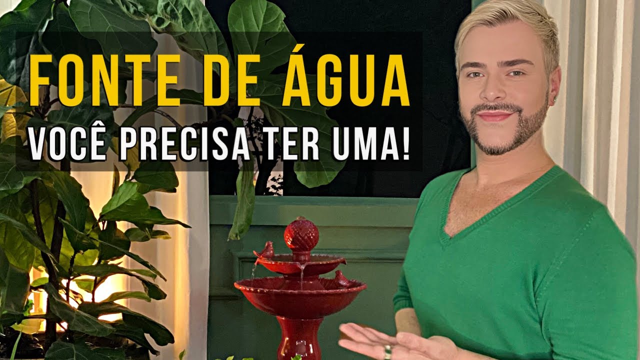 FONTE DE ÁGUA: 4 BONS MOTIVOS PARA TER UMA EM CASA/ LUIZ NETTO