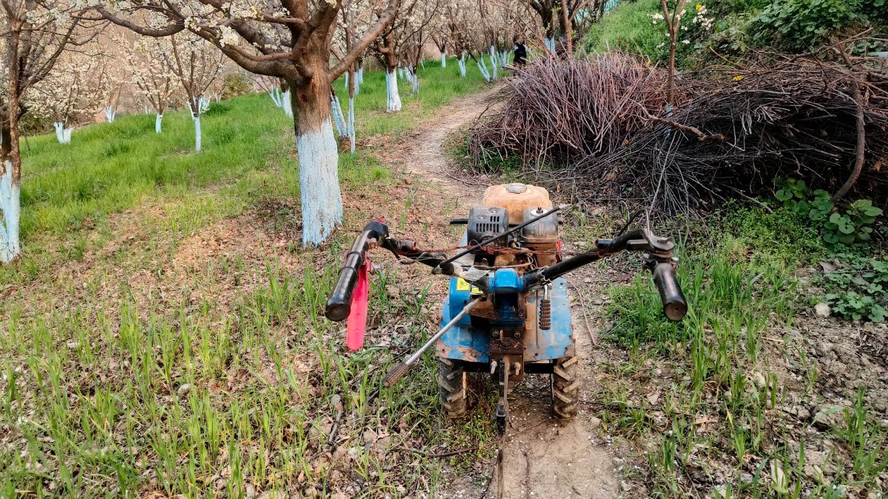 Hard Working At Home orchard Service 2026 Update 🌎 Kullu Himachal Pradesh #humjaani
