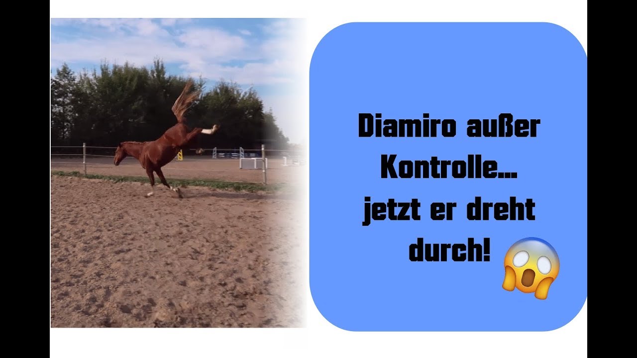 [Vlog] Diamiro dreht durch | 06.10.2018