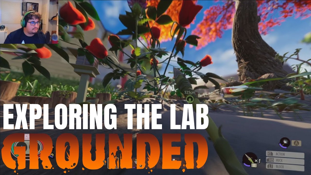 Continuing the Exploration || Grounded