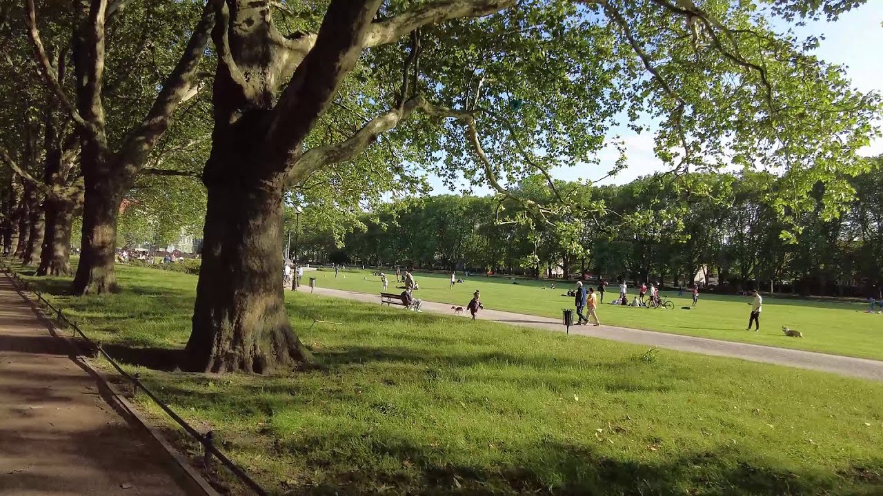 Biking in Szczecin / Al. Wojska  Polskiego, Jasne Błonia
