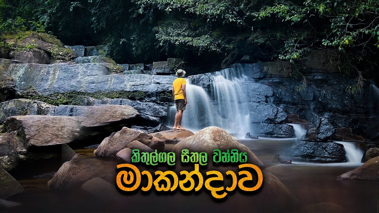 මාකන්දාව වැසි වනාන්තරය, කිතුල්ගල | Makandawa rain forest | Kithulgala, Sri Lanka | 