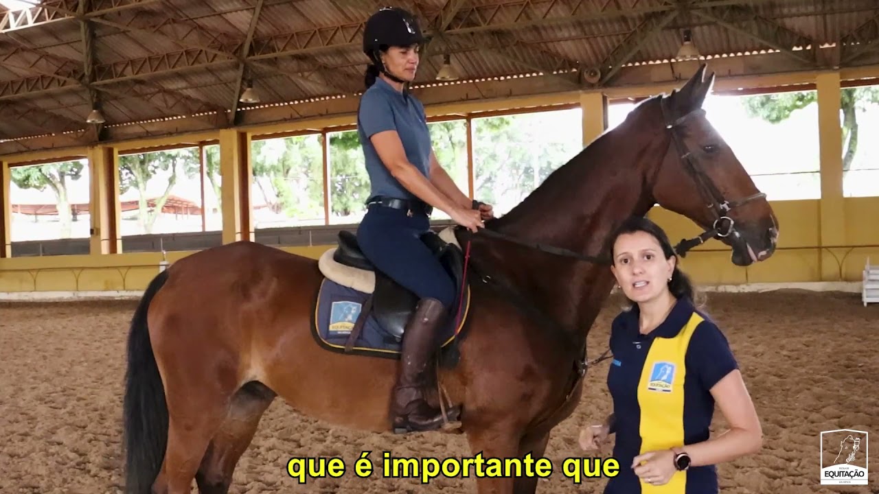 Dica equestre: Posição esporte