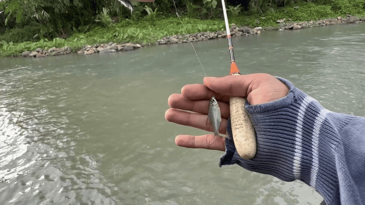 Use This Technique For Microfishing In Strong Currents