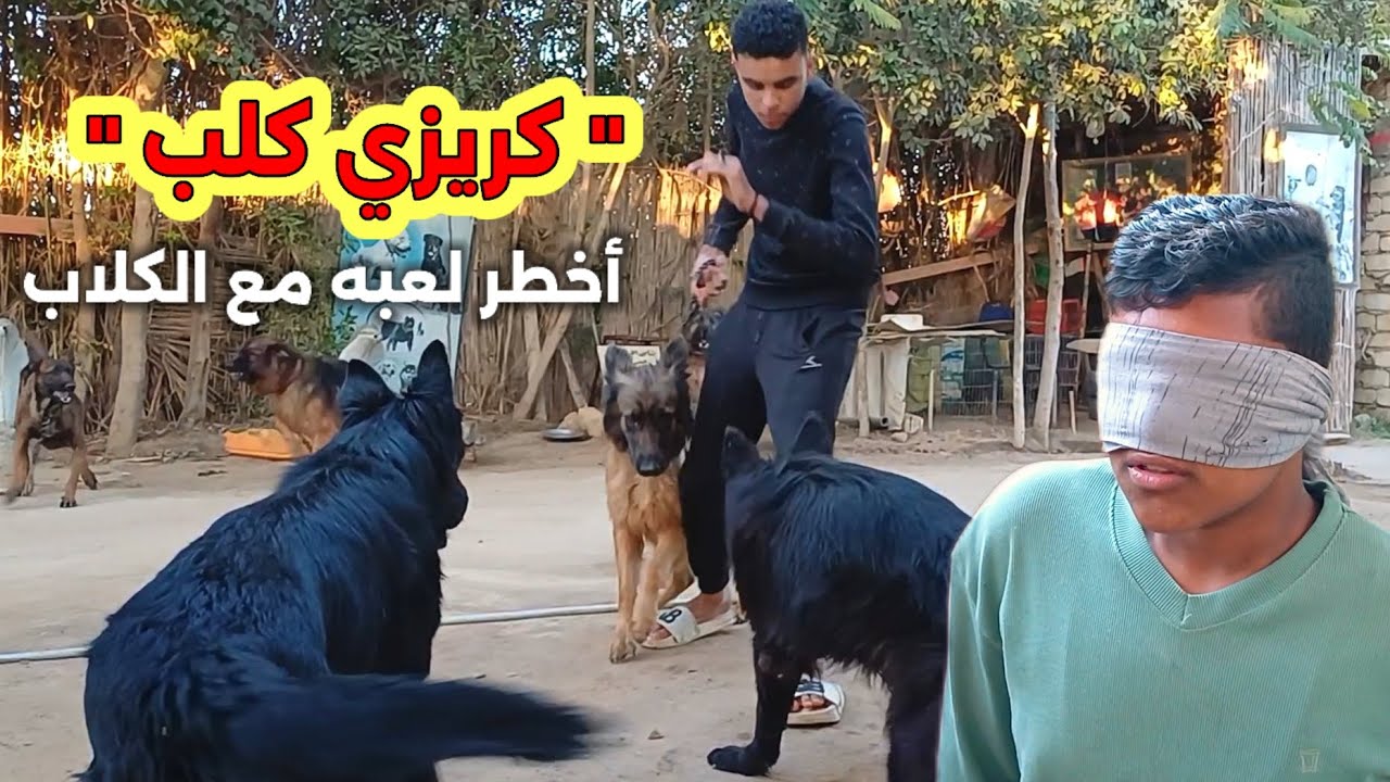 لأول مرة لعبة #كريزي_كلب || تحدي صعب مع الكلاب والفوز بالعقل . مين #الكلب دااا ؟