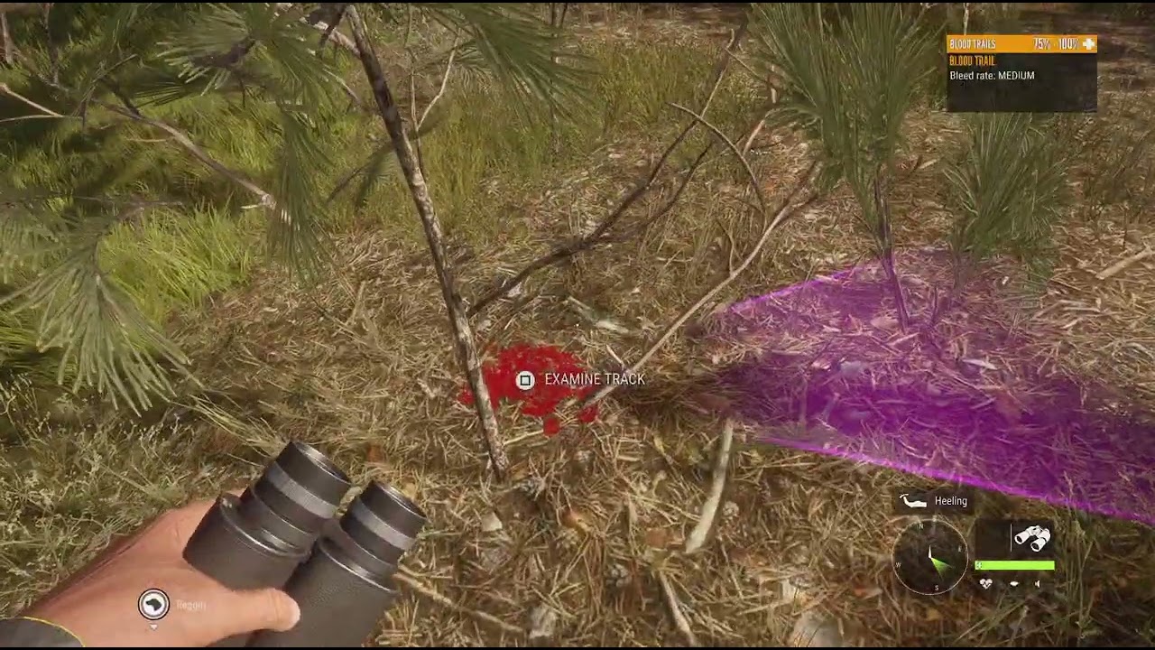 Diamond Red Deer location #huntercallofthewild