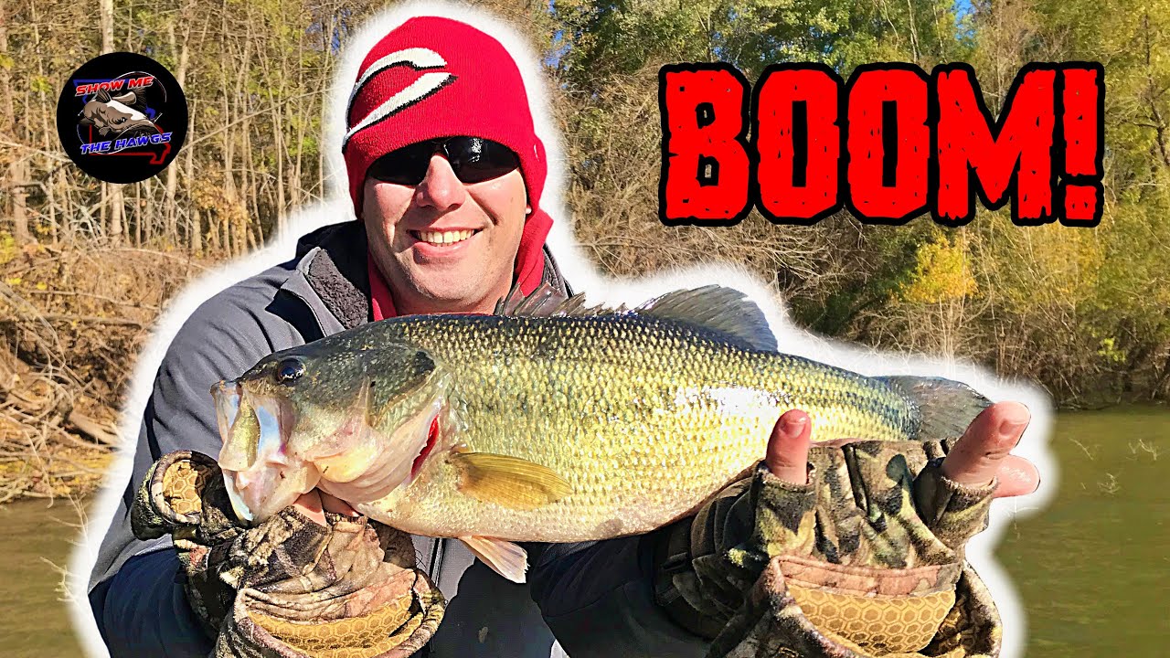 Landing BIG Fall Bass on the Meramec River!