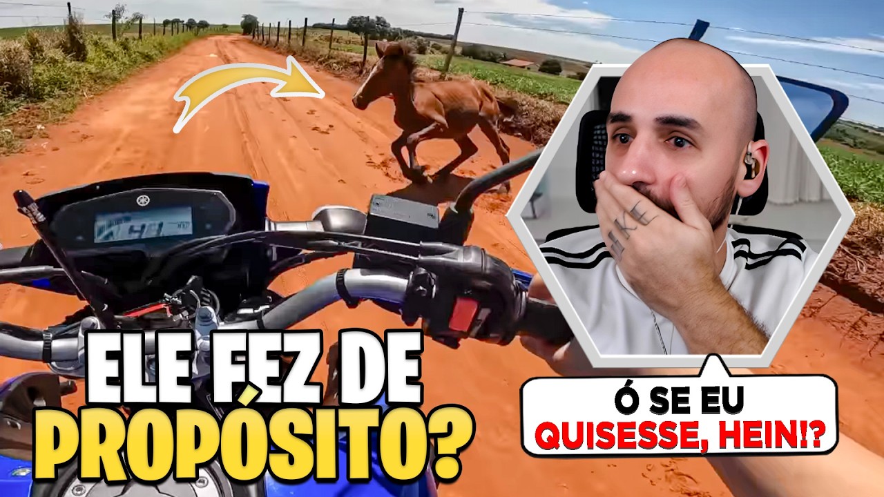 VEJA O QUE ESSE CAVALO FEZ! kkkk - React SUSTOS DE MOTO (EP. 248)