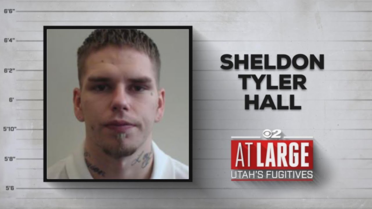 Probationer who threatened to slit mother's throat listed on Metro Gang Unit's most wanted