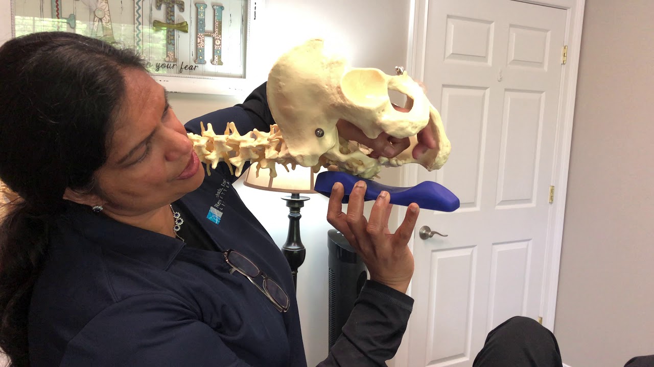 Myofascial tools: How to use to use the Sacro Wedgy and CranioCradle