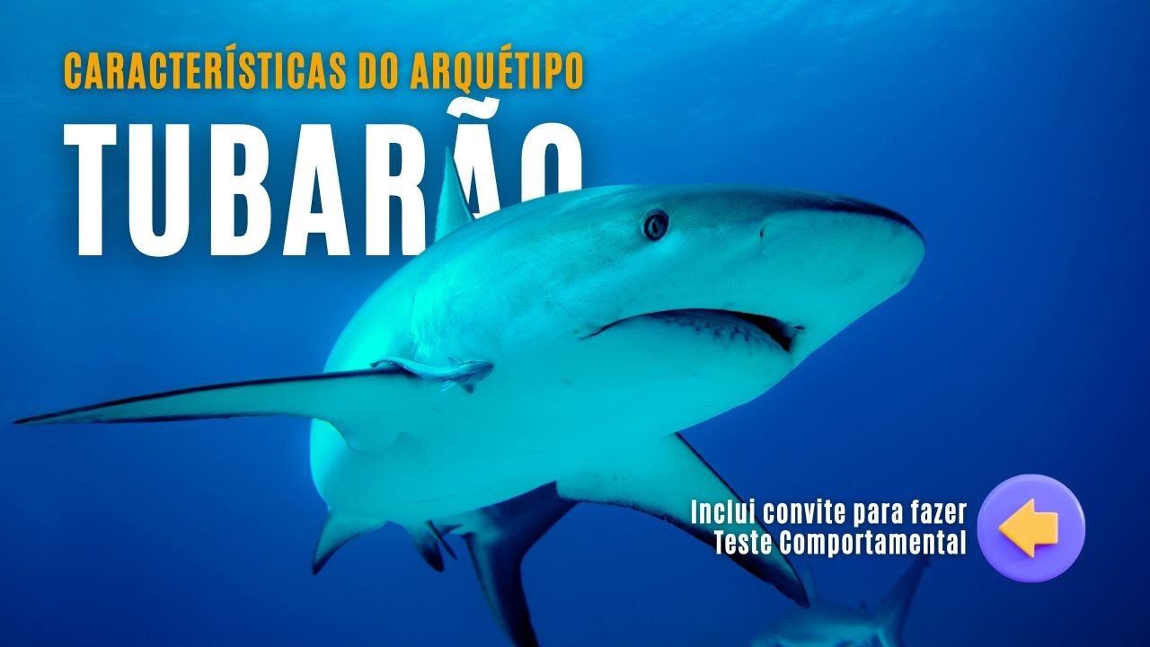 Arquétipo do Tubarão | Júlio Pereira