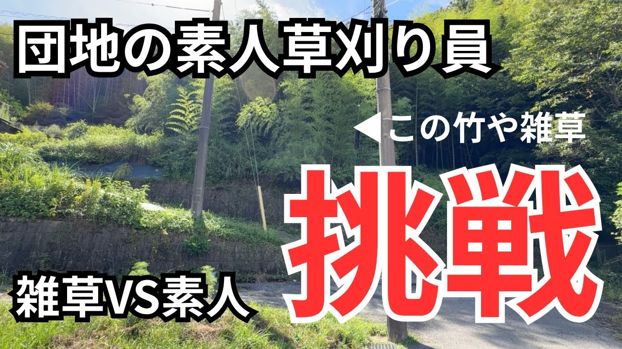 【実作業】団地の竹・雑草が地獄すぎた…素人草刈りでどこまで刈れる？