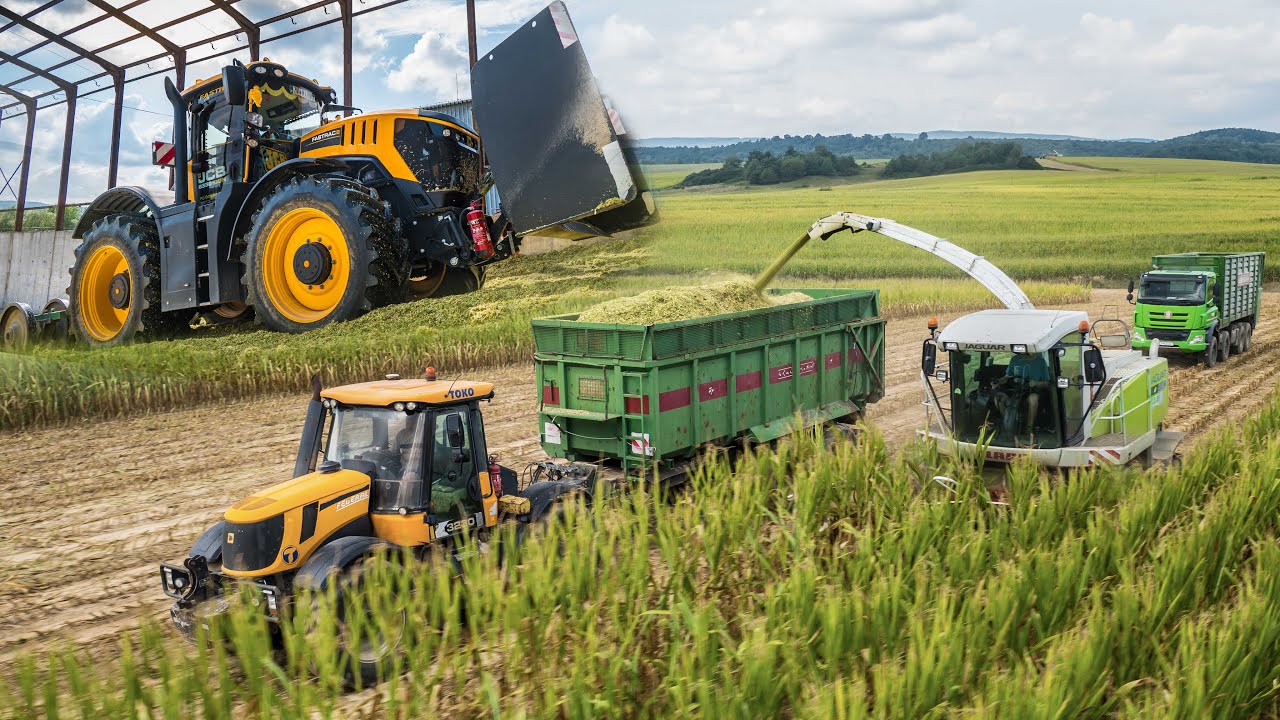 🌽Silaž 2024 | Claas Jaguar 850 | JCB Fastrac 8330 Icon | JCB Fastrac 3230
