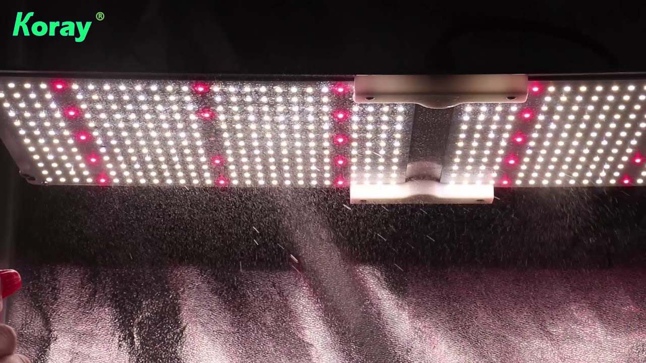 Koray LM301B Spider Farmer SF2000 SF 2000 Quantum Board Led Grow Lights for Grow Tent