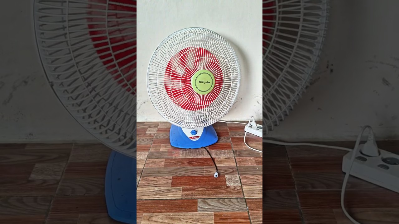 Fan | Fan z wielką głową!!️ # #fan #fan #fan #fan #śmieszne #fan