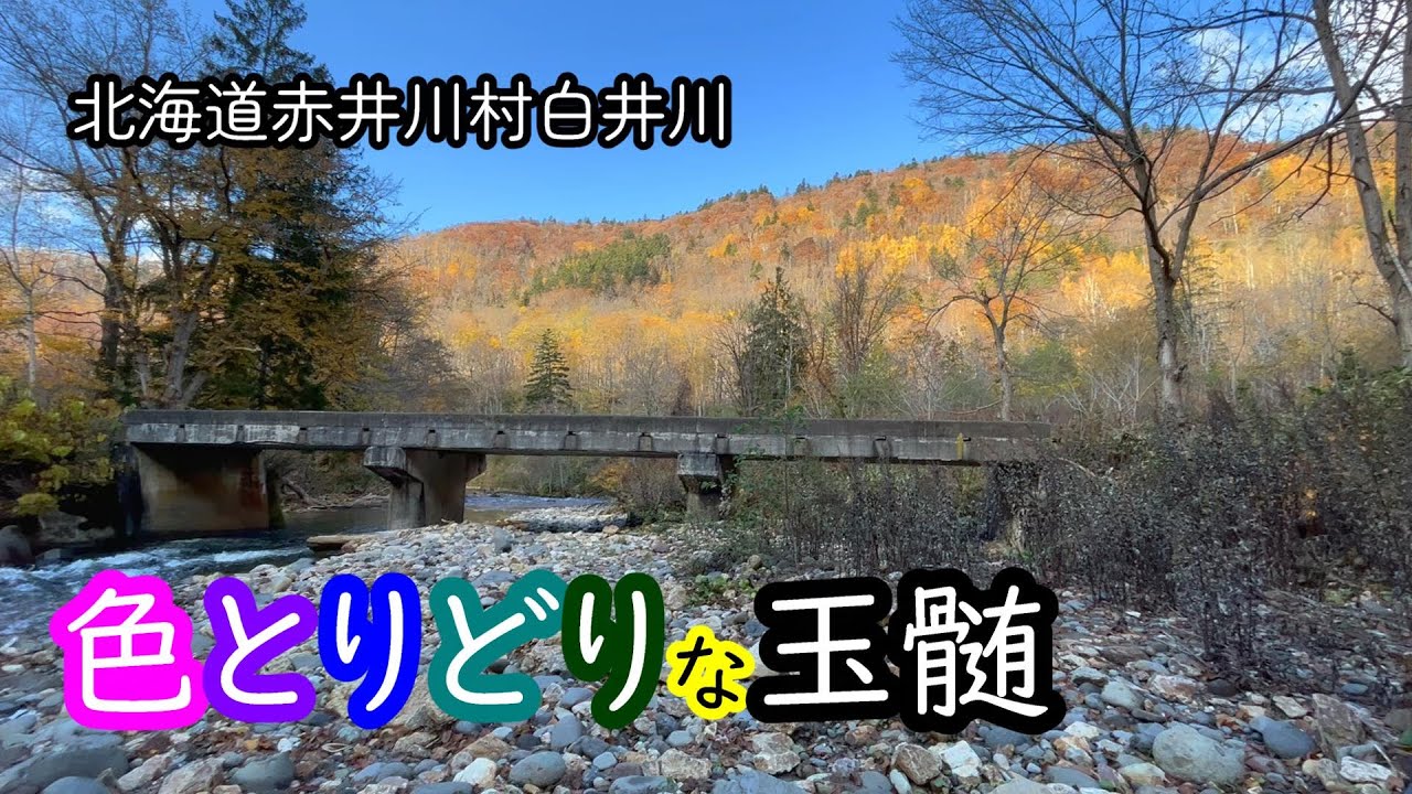 北海道赤井川村白井川できれいな石を探しました