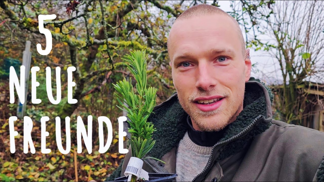 Sei Faul! - Beete anlegen im Waldgarten + 5 außergewöhnliche Pflanzen für Deinen Garten.