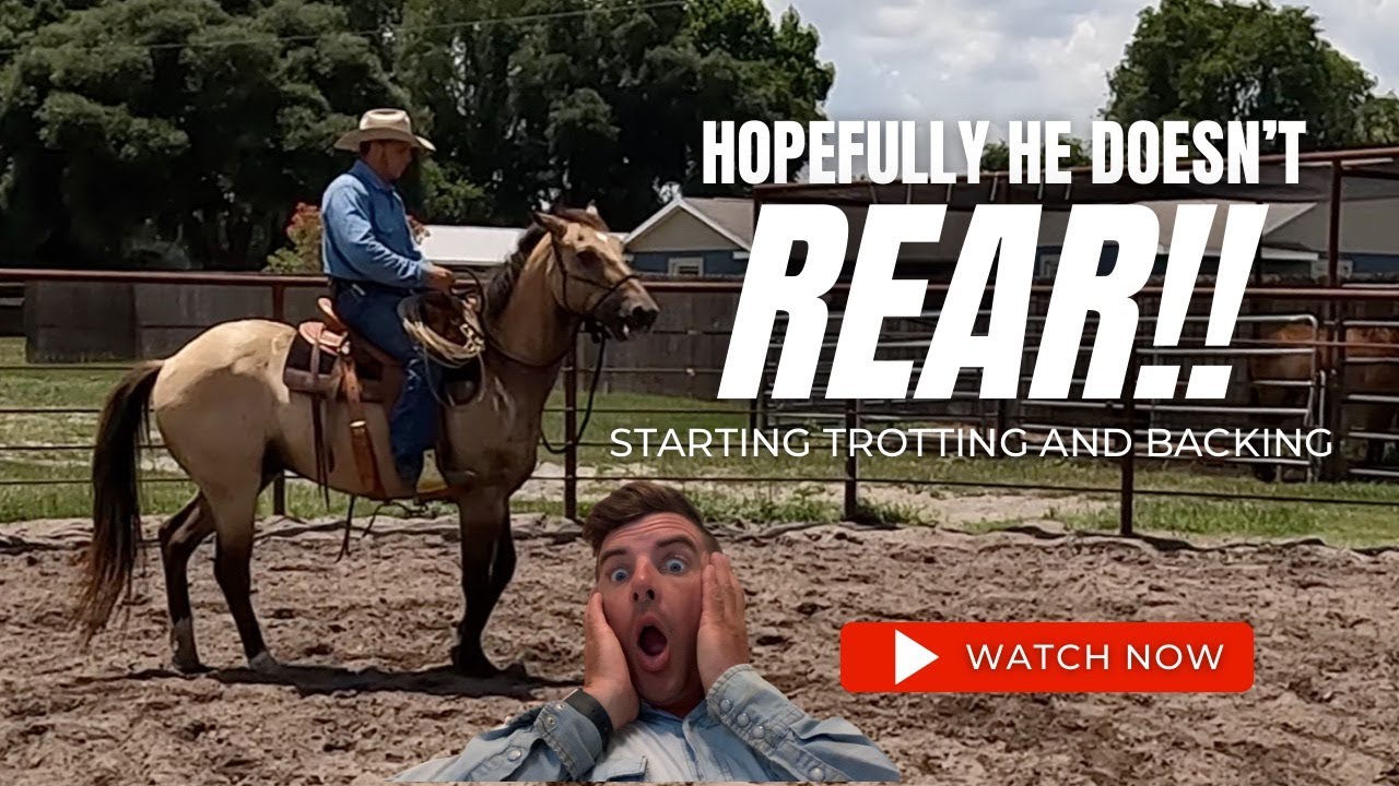 Pear Tree Ranchin 032: Problem Horse, Riding a Rearing Horse, Backing and adding Speed