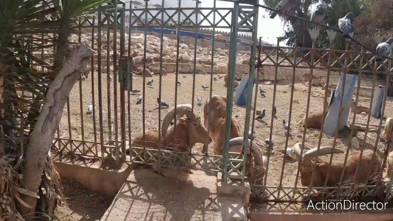 حديقة الطيور باكادير Vallee des Oiseaux agadir