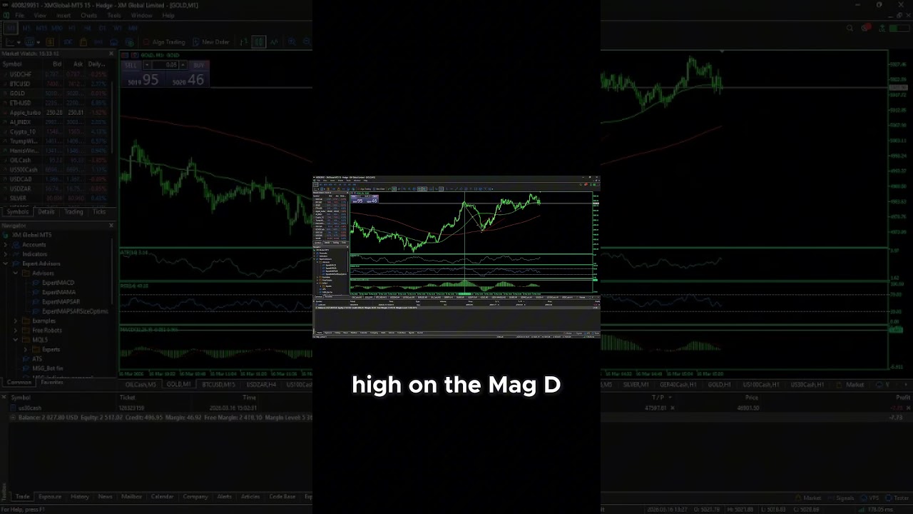 Strategia dywergencji MACD (unikanie pułapek byk&oacute;w)