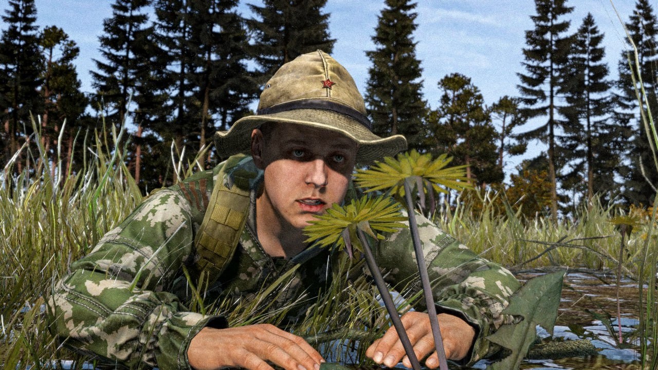 Вайпик одиночки - DayZ