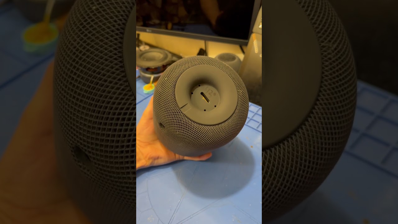 So I accidentally bought an Apple Developement Type HomePod?