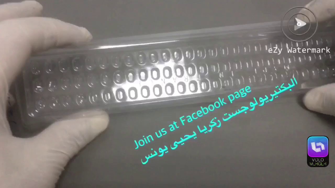 الجزء الأول من شرح اختبار API 20 E