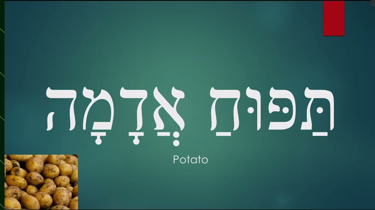 Hebrew Fruits and Vegetables (pronunciation + nikkud)
