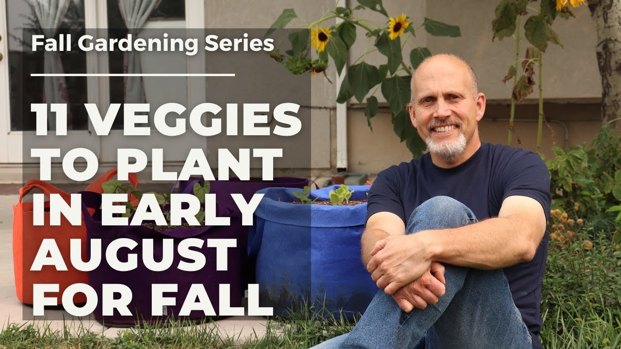 11 Vegetables to plant in early August for Fall