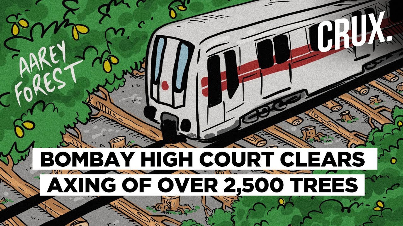 Setback For Aarey Forest Crusaders As Bombay HC Dismisses Pleas Against Felling Of Over 2,500 Trees