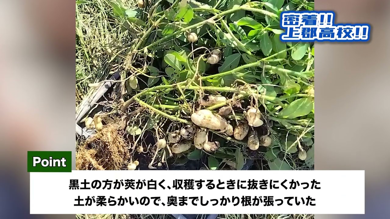 密着!!上郡高校!! 後編