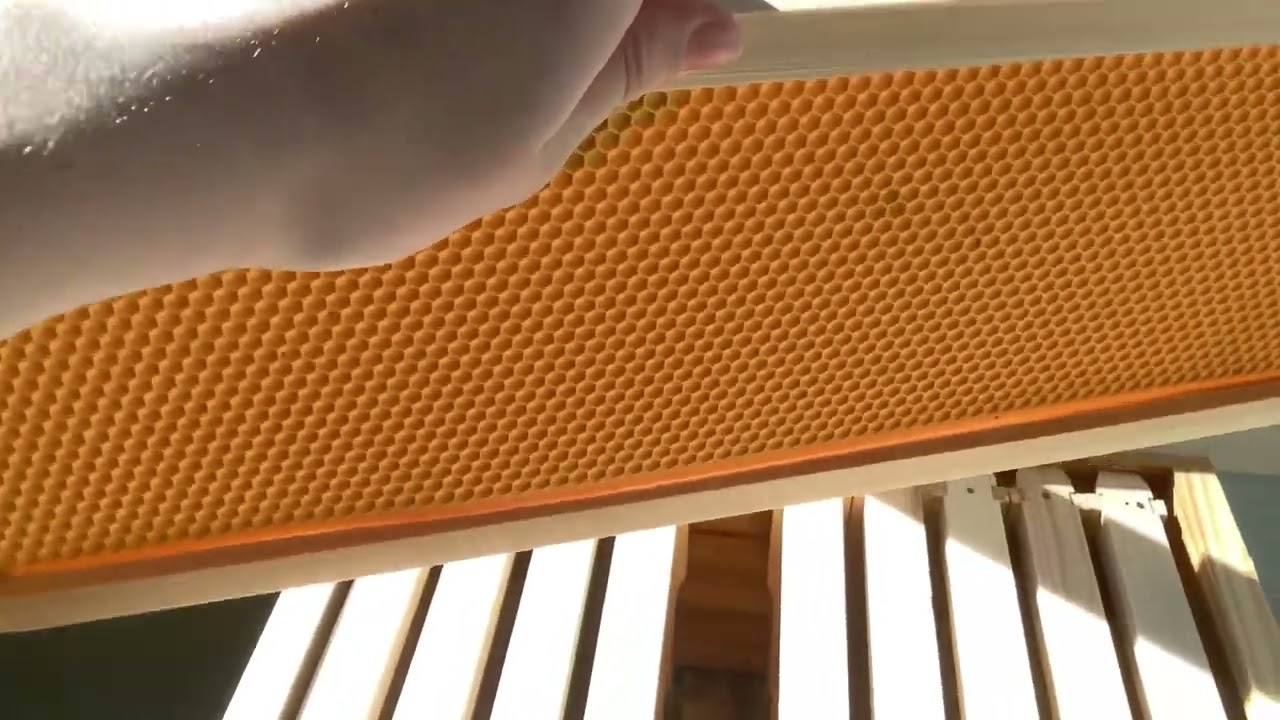 Just bought this new hive