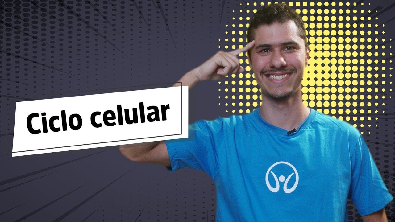 Ciclo Celular - Brasil Escola