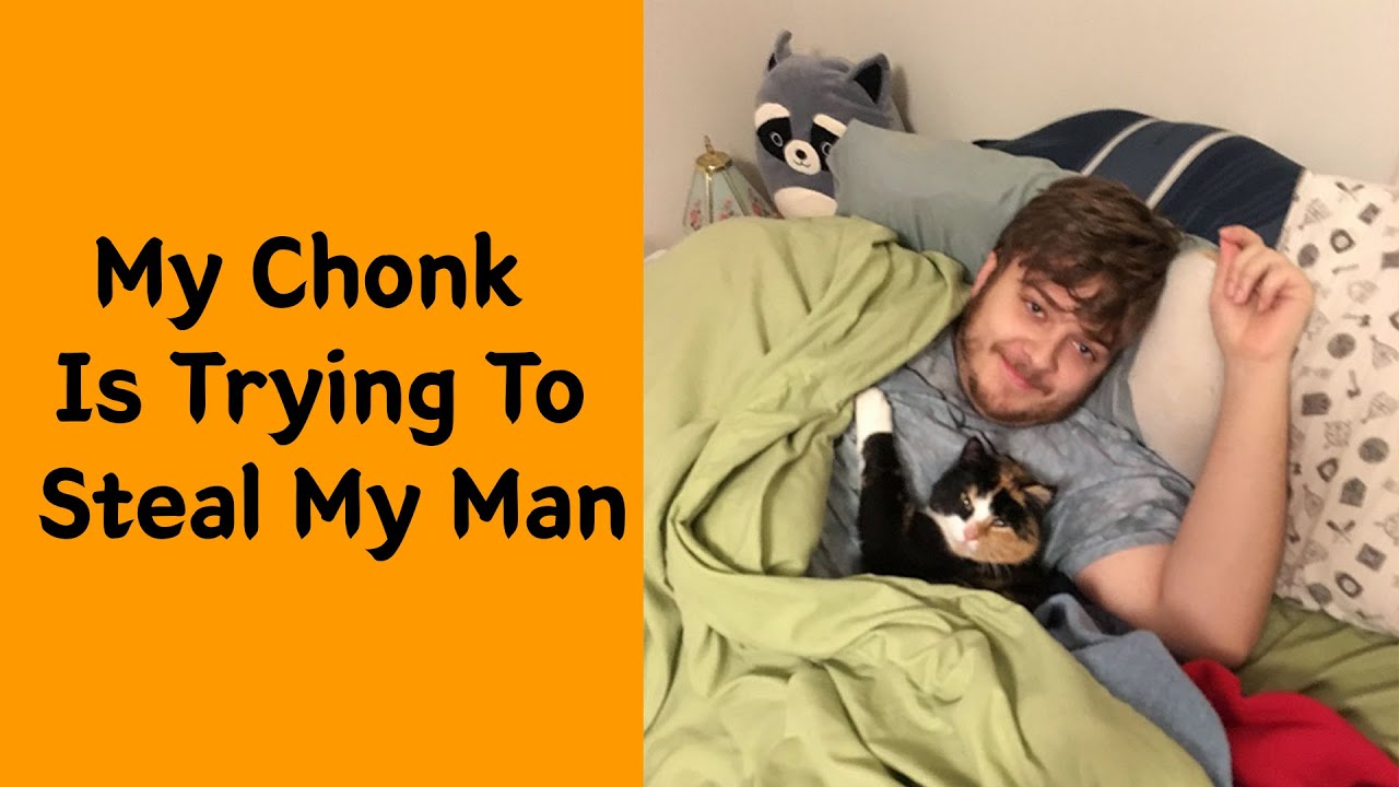 50 “Shameless” Pets That Stole Their Owners' Partners And Didn't Even Feel Sorry About It