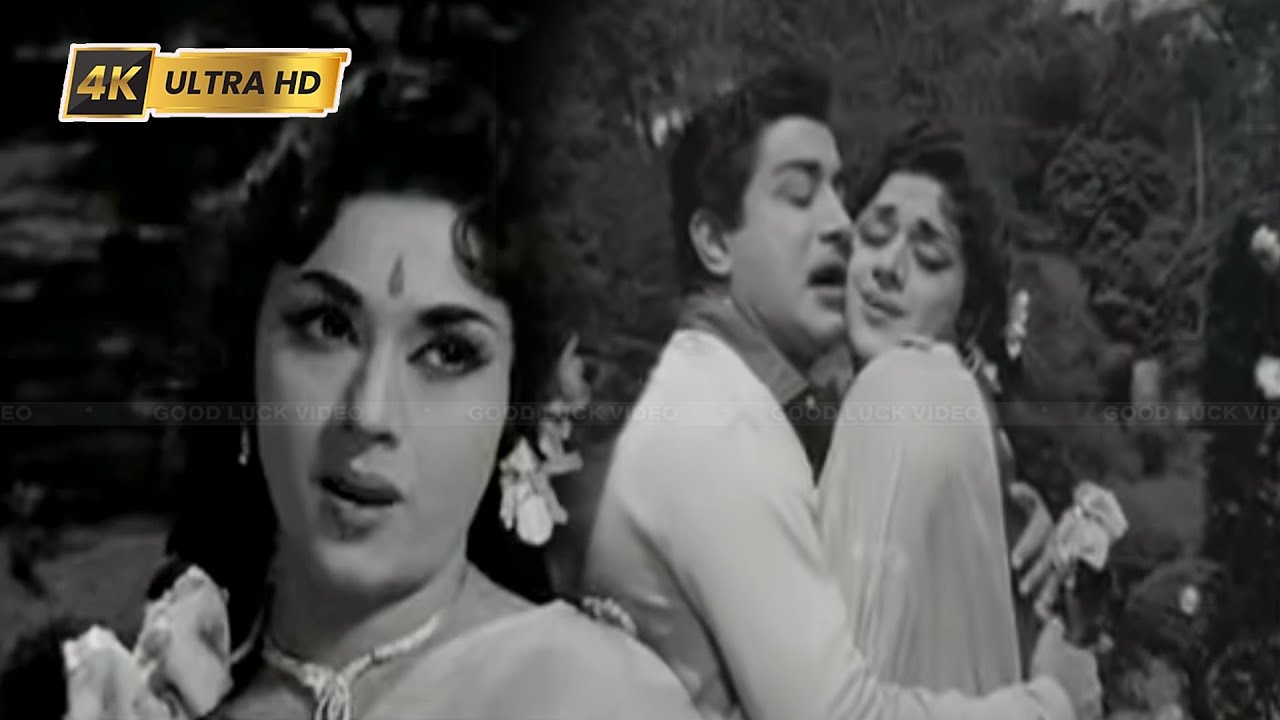 மன்னிக்க வேண்டுகிறேன் பாடல் | Mannikka Vendugiren song | T. M. Soundararajan, P. Susheela love song