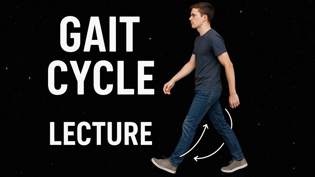 Gait cycle Biomechanics , Stance phase ,Swing phase , Gait cycle in detail , #physio #lacture